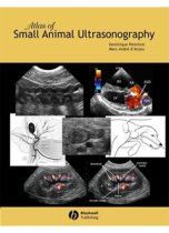 Atlas of Small Animal Ultrasonography 9780813828008