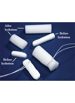 AbsorbENT Ear Wick Starter Kit