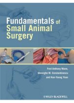 Fundamentals of Small Animal Surgery 9780781761185