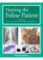 Nursing the Feline Patient 9780470959015