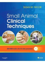 Small Animal Clinical Techniques 9781416052883