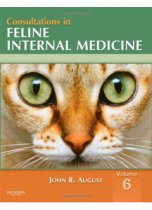 Consultations in Feline Internal Medicine, Vol 6 9781416056416