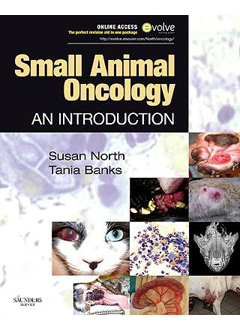 Small Animal Oncology: An Introduction 9780702028007