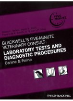 Blackwell's 5 Min Vet: Lab Test & Diagnostic Proced 978081381748