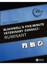 Blackwell's 5 Min Vet: Ruminant 9780781753258