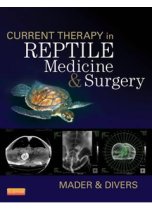 Current Therapy in Reptile Medicine & Surgery 9781455708932