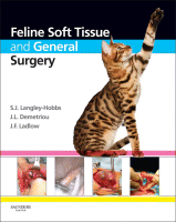 Feline Soft Tissue & General Surgery 9780702043369