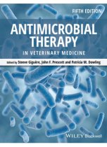 Antimicrobial Therapy in Veterinary Medicine, 5E 9780470963029