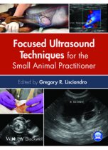 Focused Ultrasound Techniques for SA Practitioner 9781118369593