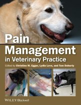 Pain Management in Veterinary Practice 9780813812243