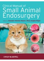 Clinical Manual of Small Animal Endosurgery 9781405190015