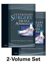 Veterinary Surgery: Small Animal 9781437707465