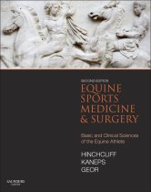 Equine Sports Medicine and Surgery, 2E 9780702047718