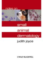 Notes on Small Animal Dermatology 9781405134972