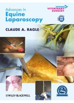 Advances in Equine Laparoscopy 9780470958773