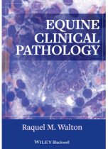 Equine Clinical Pathology 9780813817194