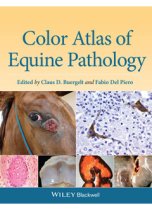 Color Atlas of Equine Pathology 9780470962848