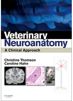 Veterinary Neuroanatomy A Clinical Approach 9780702034824