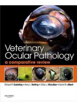 Veterinary Ocular Pathology 9780702027970
