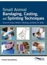 SA Bandaging, Casting & Splinting Tech 9780813819624