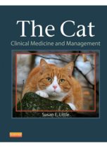 The Cat: Clinical Medicine & Management 9781437706604