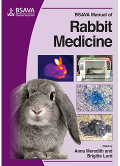 BSAVA Manual of Rabbit Medicine 9781905319497