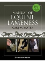 Manual of Equine Lameness 9780813815466