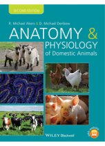 Anatomy & Physiology Domestic Animals, 2E 9781118356388