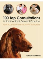 100 Top Consultations in SA General Practice 9781405169493