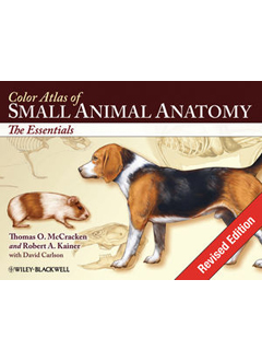 Color Atlas Small Animal Anatomy: The Essentials 9780813816