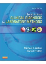 Small Animal Clinical Diagnosis by Lab Methods 5E 9781437706574
