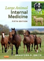Large Animal Internal Medicine, 5E 9780323088398