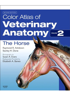 Color Atlas of Vet Anatomy, Vol 2, The Horse, 2E 9780702052293