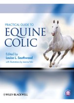 Practical Guide to Equine Colic 9780813818320