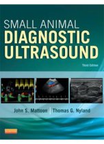 Small Animal Diagnostic Ultrasound 3E 9781416048671
