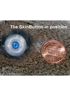 Norfolk Skin Button NV-SBN Series