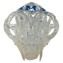 iM3 Feline Skull Model - Clear