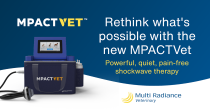 MPACT Vet Shockwave Laser Therapy