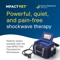 MPACT Vet Shockwave Laser Therapy