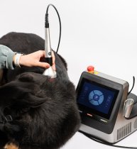 AlphaVet Class IV Laser