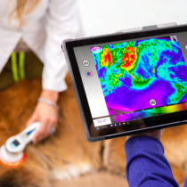 WellVu Thermal Imaging