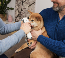 TONOVET Pet Tonometer