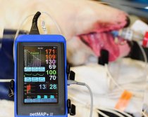 petMAP +II Handheld Multi-Parameter Monitor (NIBP/HR/SPO2/TEMP, Optional CO2/ECG)