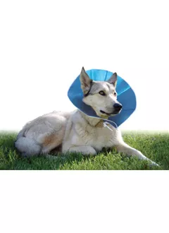 Trimline veterinary recovery hot sale collar